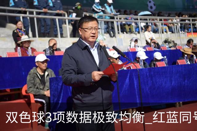 双色球3项数据极致均衡 红蓝同号或成制胜法宝
